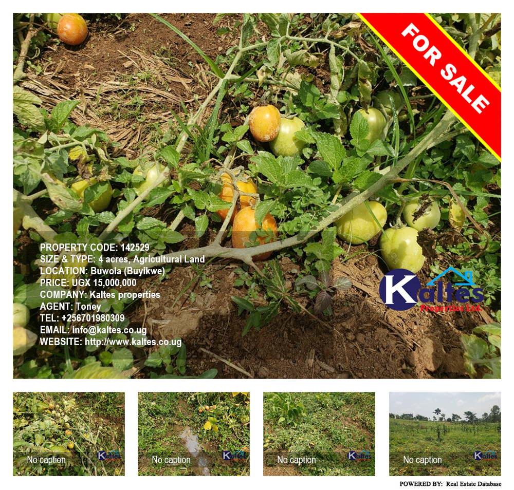 Agricultural Land  for sale in Buwola Buyikwe Uganda, code: 142529