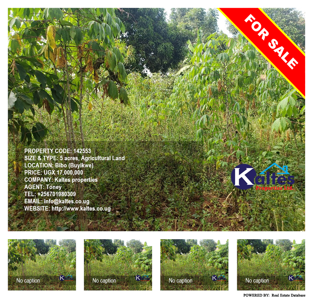 Agricultural Land  for sale in Bibo Buyikwe Uganda, code: 142553