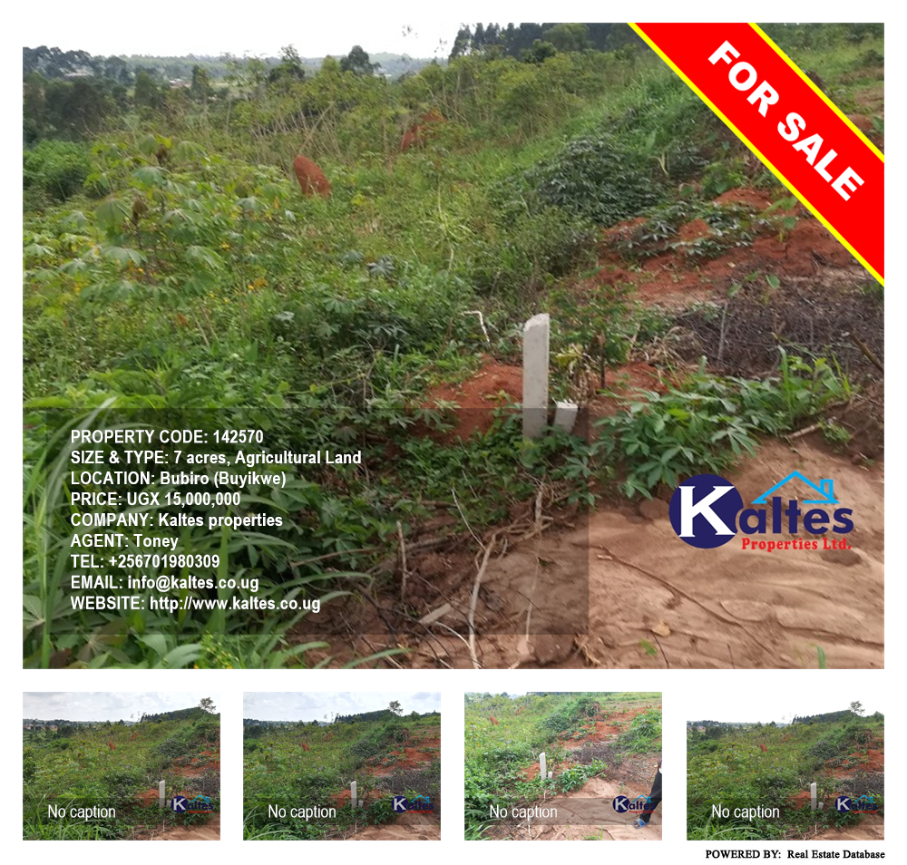 Agricultural Land  for sale in Bubiro Buyikwe Uganda, code: 142570