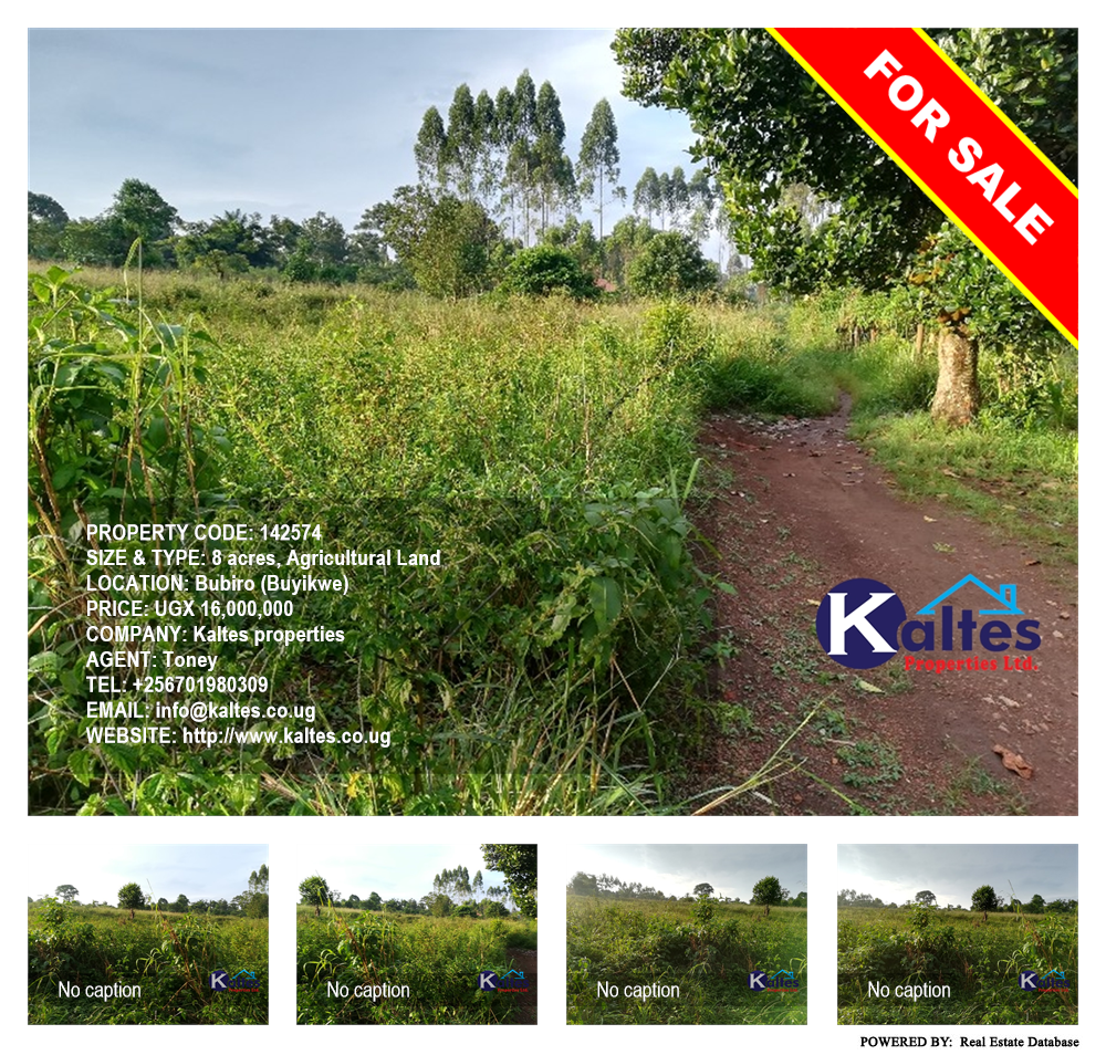 Agricultural Land  for sale in Bubiro Buyikwe Uganda, code: 142574