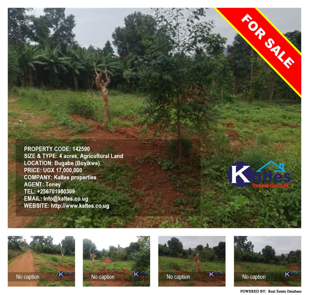 Agricultural Land  for sale in Bugabe Buyikwe Uganda, code: 142590