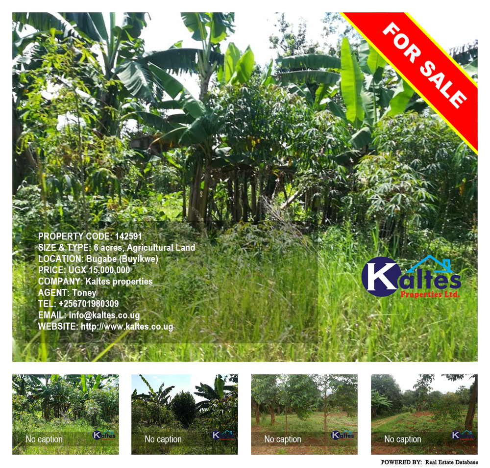 Agricultural Land  for sale in Bugabe Buyikwe Uganda, code: 142591