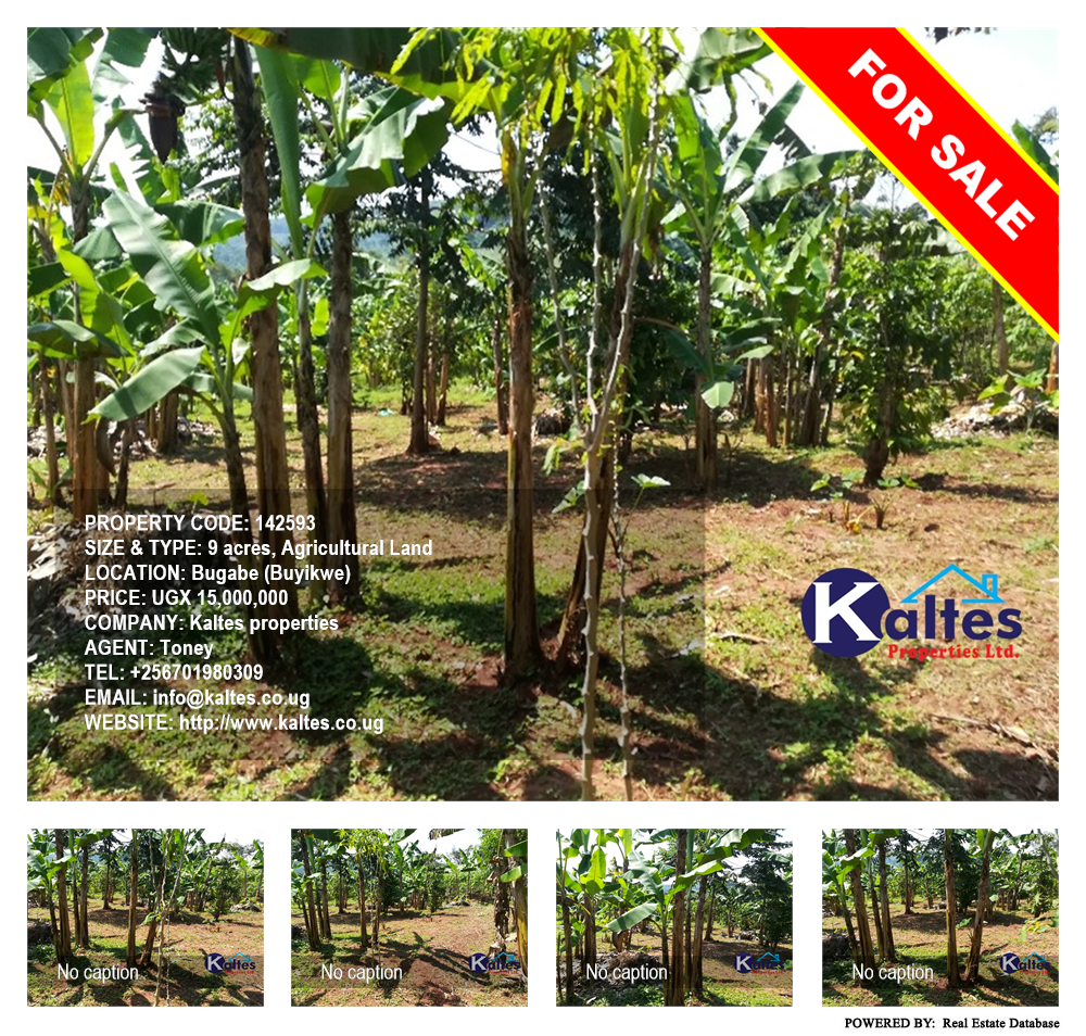 Agricultural Land  for sale in Bugabe Buyikwe Uganda, code: 142593