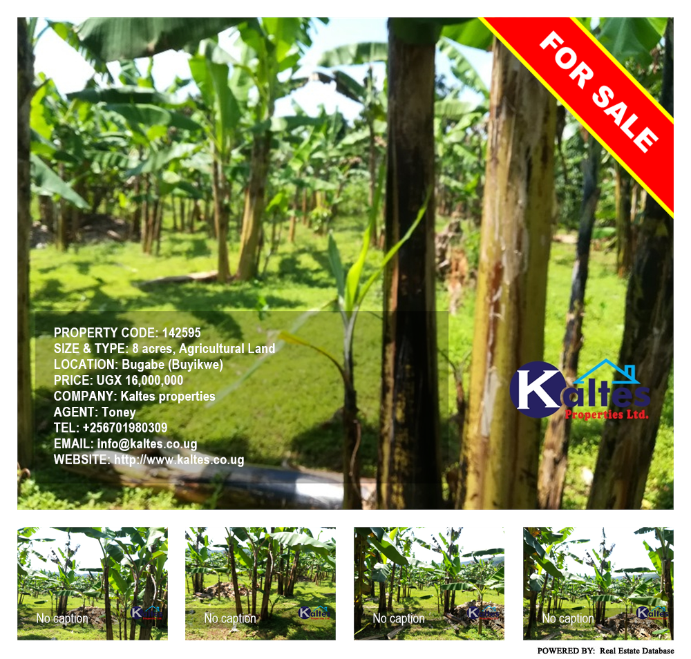 Agricultural Land  for sale in Bugabe Buyikwe Uganda, code: 142595