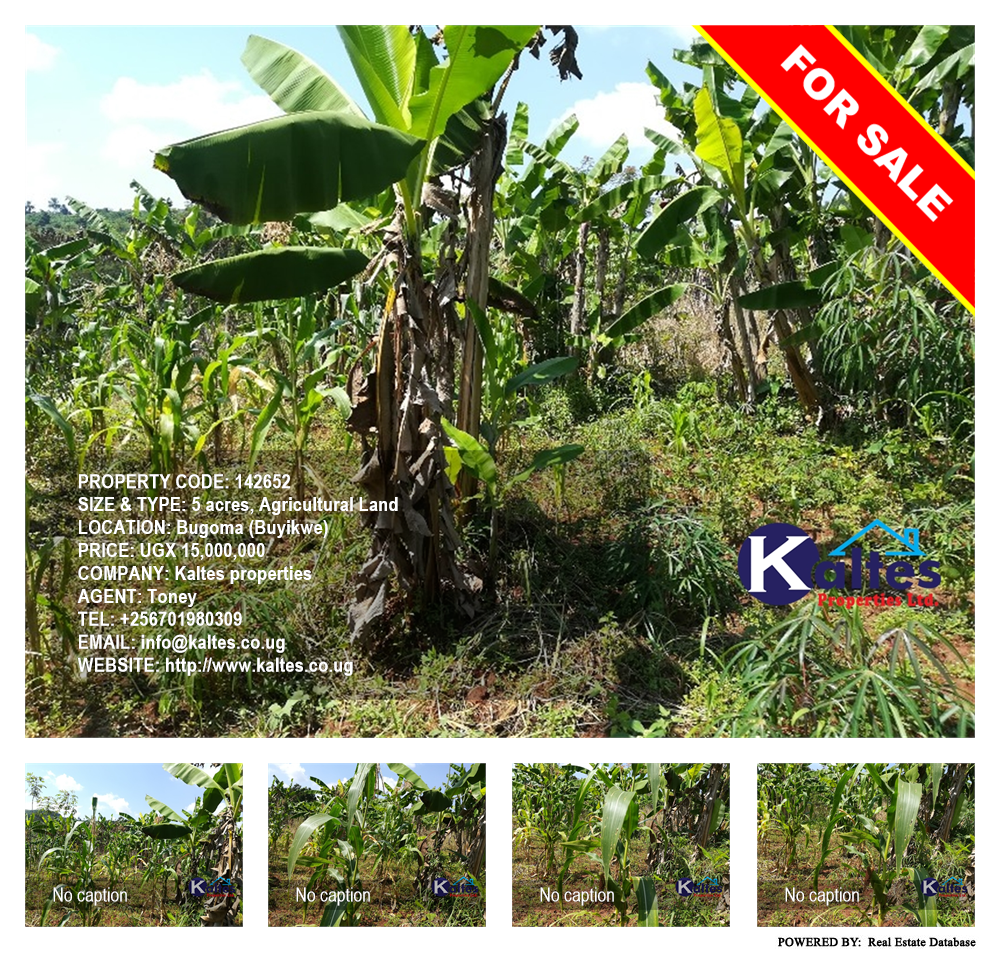 Agricultural Land  for sale in Bugoma Buyikwe Uganda, code: 142652