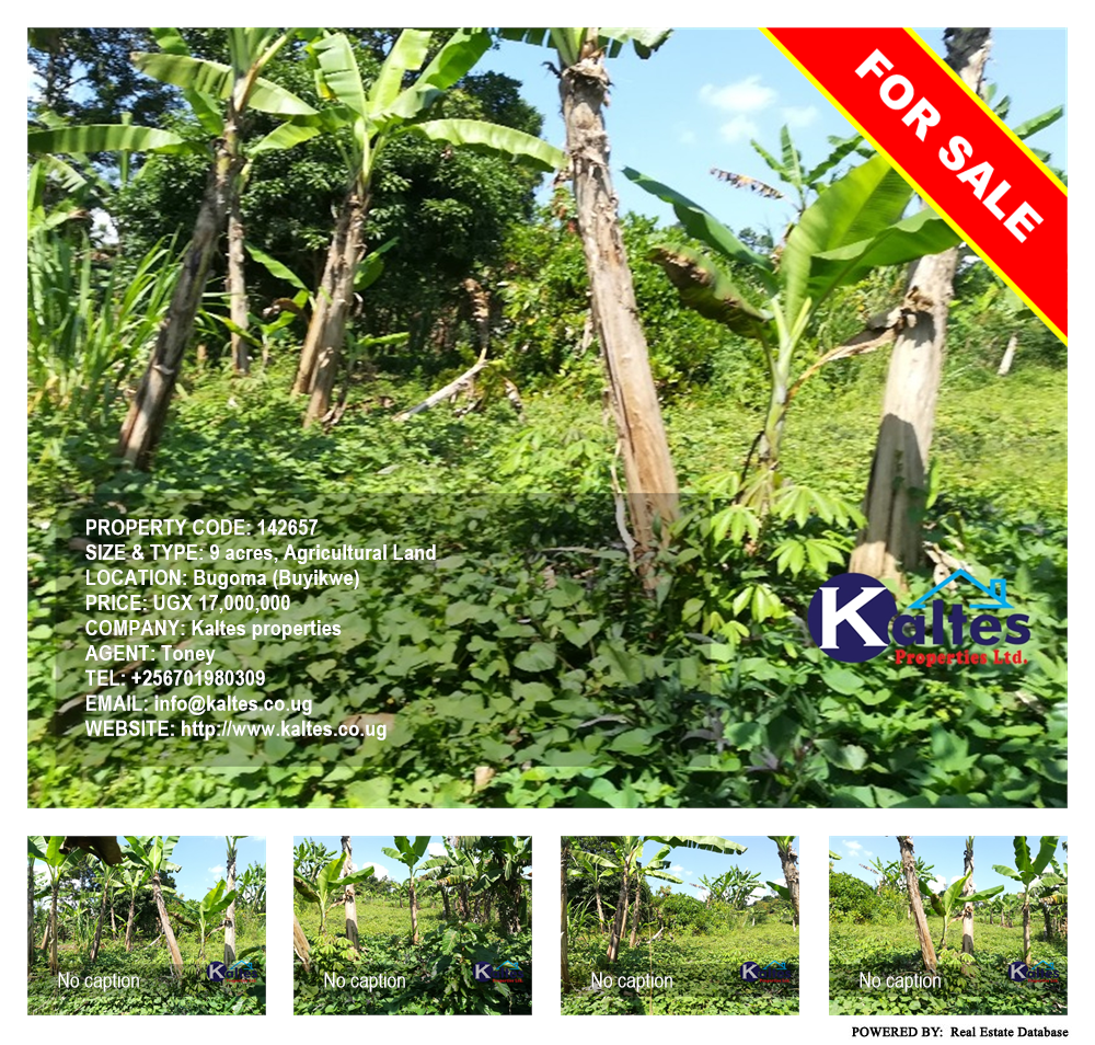 Agricultural Land  for sale in Bugoma Buyikwe Uganda, code: 142657