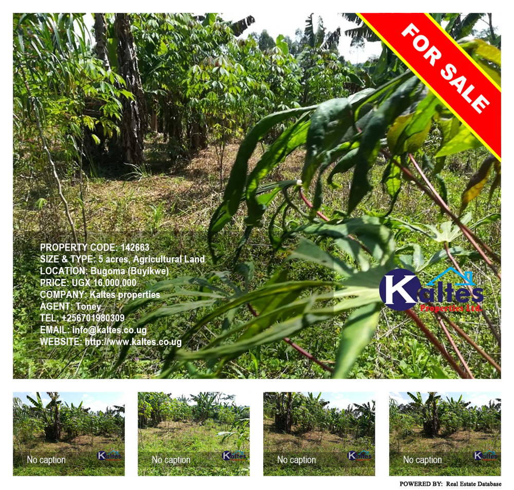 Agricultural Land  for sale in Bugoma Buyikwe Uganda, code: 142663