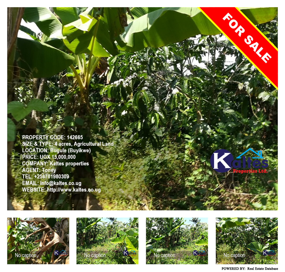 Agricultural Land  for sale in Bugule Buyikwe Uganda, code: 142665