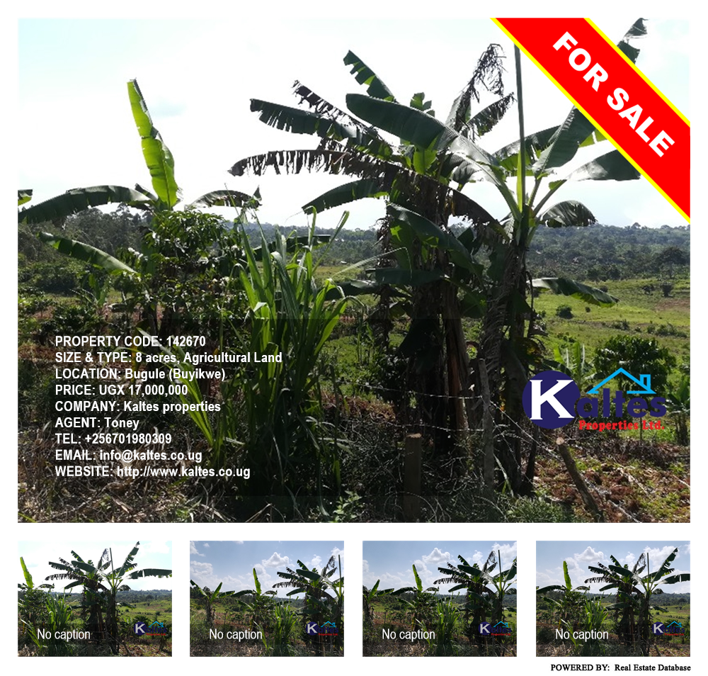 Agricultural Land  for sale in Bugule Buyikwe Uganda, code: 142670