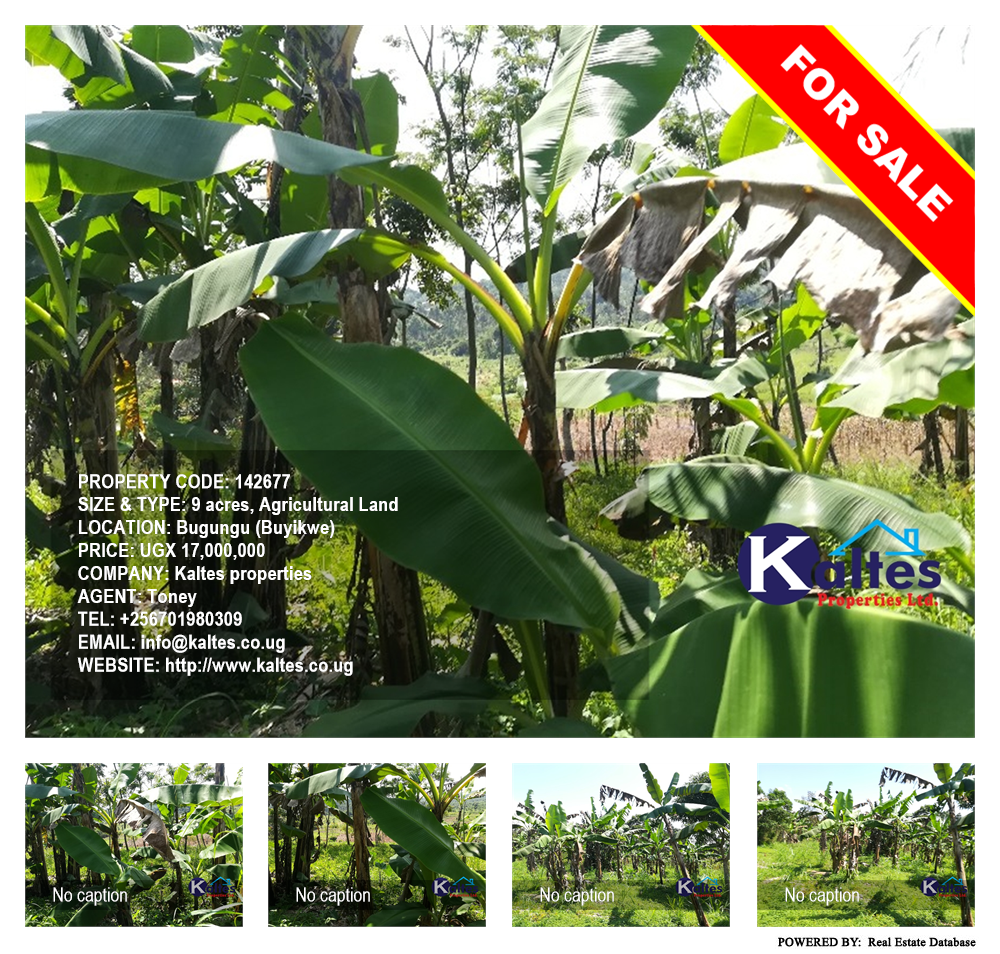 Agricultural Land  for sale in Bugungu Buyikwe Uganda, code: 142677