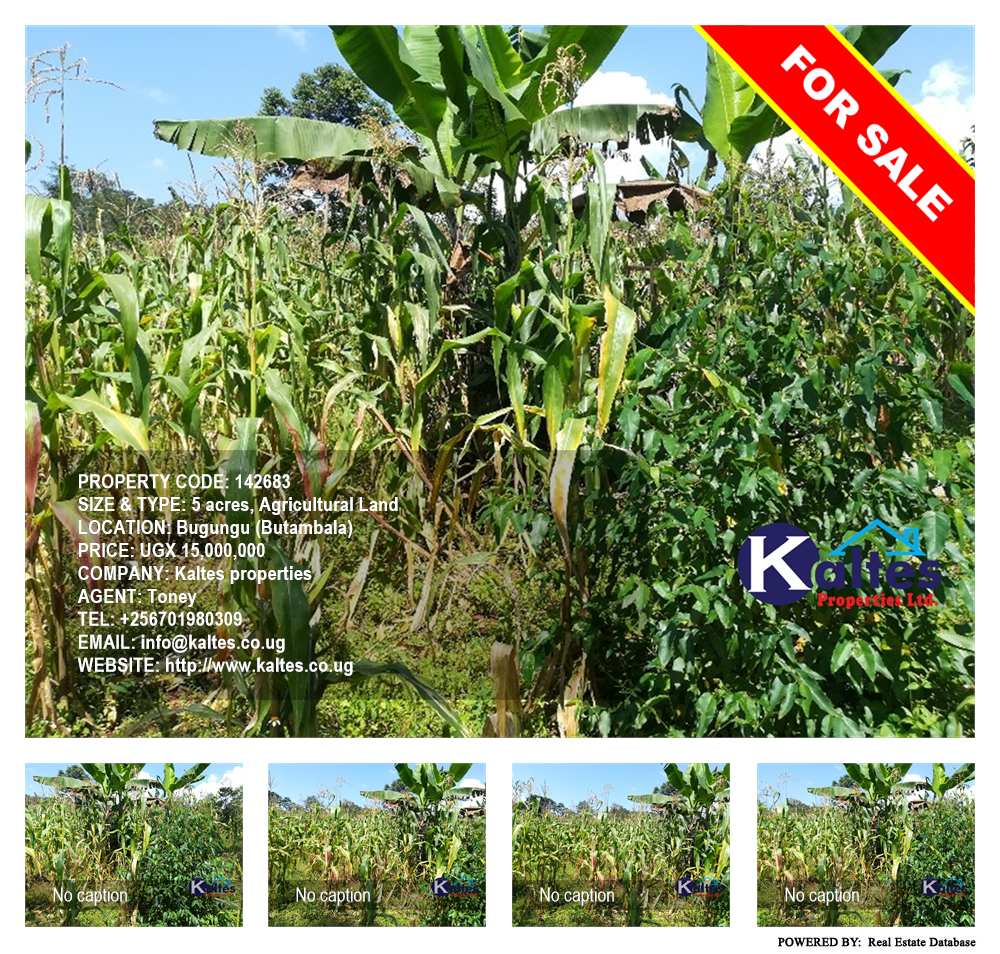Agricultural Land  for sale in Bugungu Butambala Uganda, code: 142683