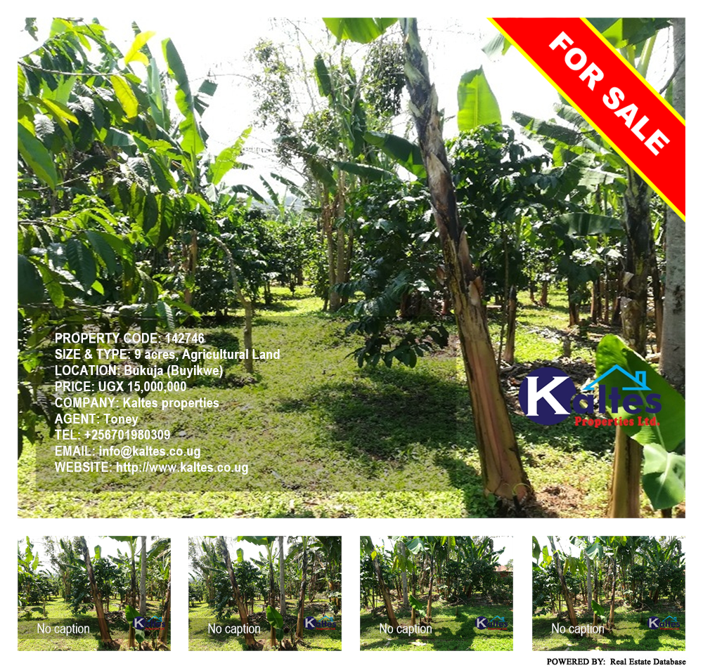 Agricultural Land  for sale in Bukuja Buyikwe Uganda, code: 142746