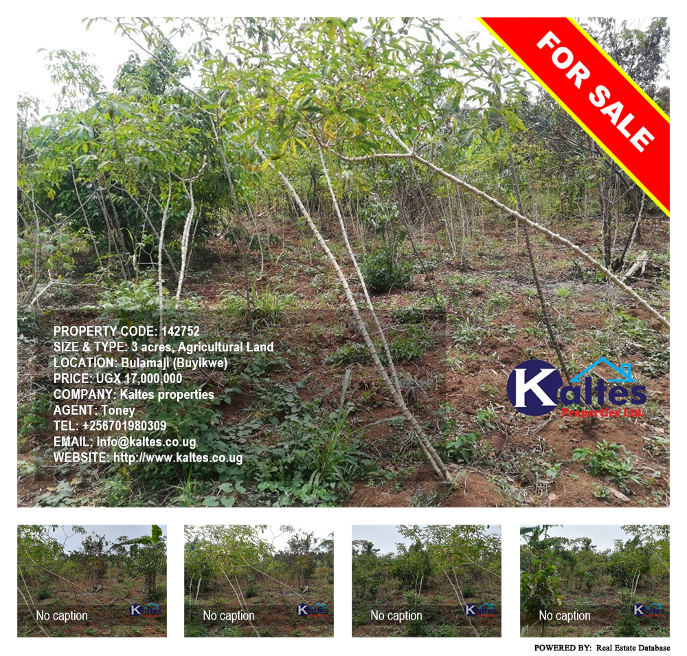 Agricultural Land  for sale in Bulamaji Buyikwe Uganda, code: 142752
