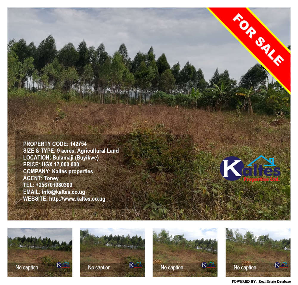 Agricultural Land  for sale in Bulamaji Buyikwe Uganda, code: 142754