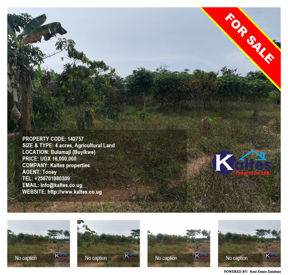 Agricultural Land  for sale in Bulamaji Buyikwe Uganda, code: 142757