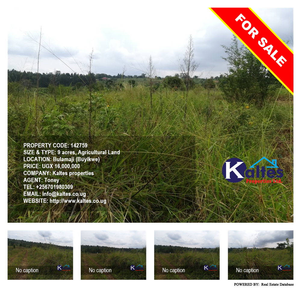 Agricultural Land  for sale in Bulamaji Buyikwe Uganda, code: 142759