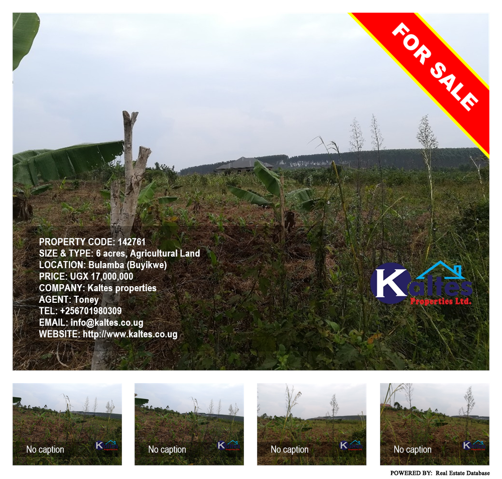Agricultural Land  for sale in Bulamba Buyikwe Uganda, code: 142761