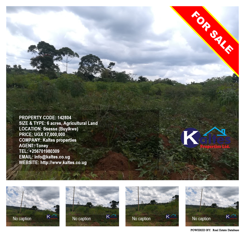 Agricultural Land  for sale in Ssesse Buyikwe Uganda, code: 142804