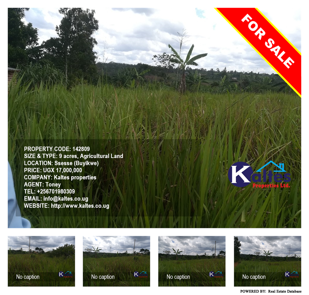 Agricultural Land  for sale in Ssesse Buyikwe Uganda, code: 142809