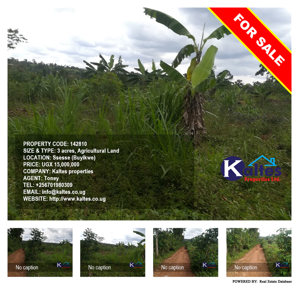 Agricultural Land  for sale in Ssesse Buyikwe Uganda, code: 142810