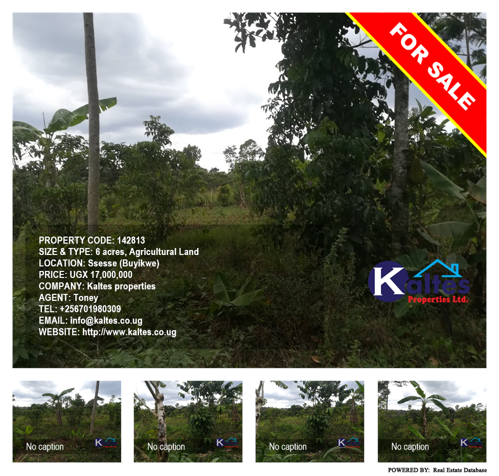 Agricultural Land  for sale in Ssesse Buyikwe Uganda, code: 142813