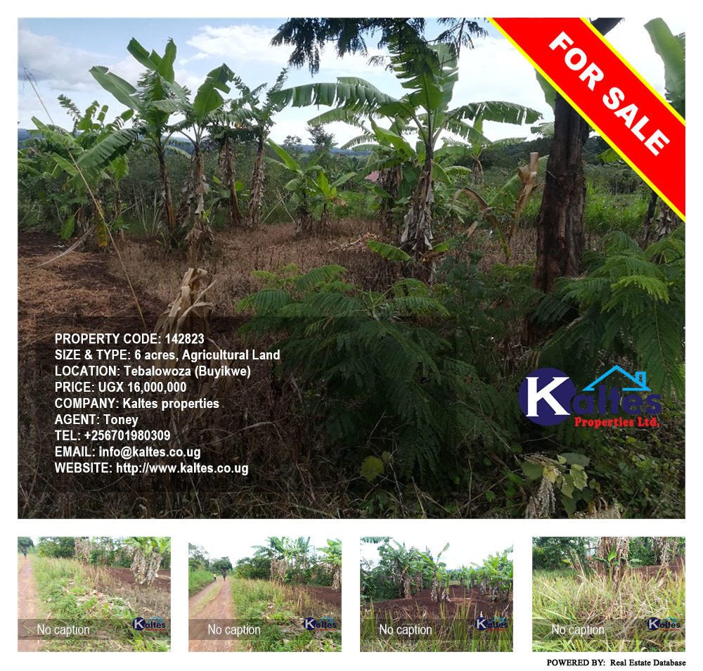 Agricultural Land  for sale in Tebalowoza Buyikwe Uganda, code: 142823