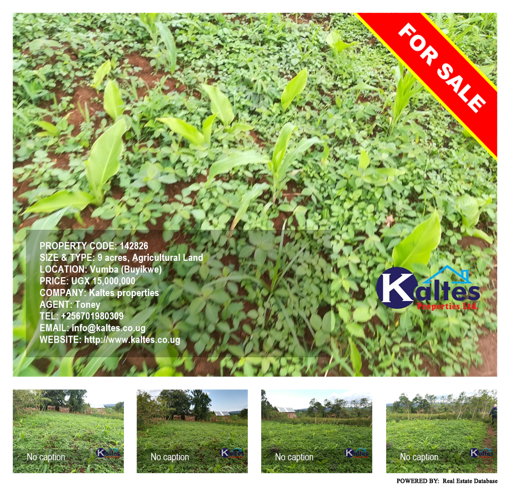 Agricultural Land  for sale in Vvumba Buyikwe Uganda, code: 142826