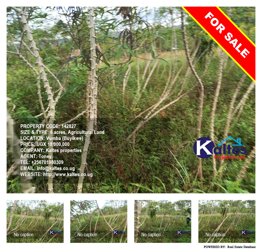Agricultural Land  for sale in Vvumba Buyikwe Uganda, code: 142827