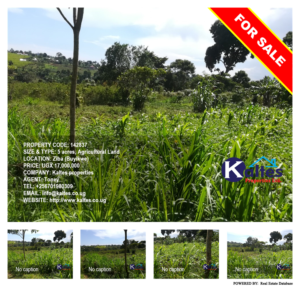 Agricultural Land  for sale in Ziba Buyikwe Uganda, code: 142837