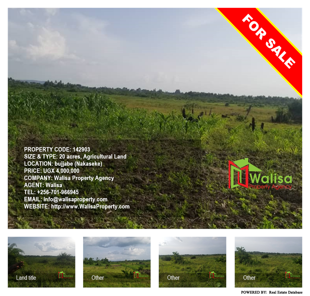 Agricultural Land  for sale in Bujjabe Nakaseke Uganda, code: 142903