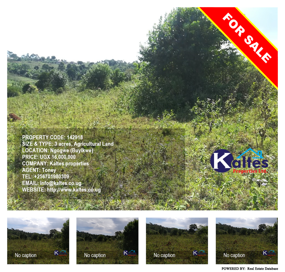 Agricultural Land  for sale in Ngogwe Buyikwe Uganda, code: 142918