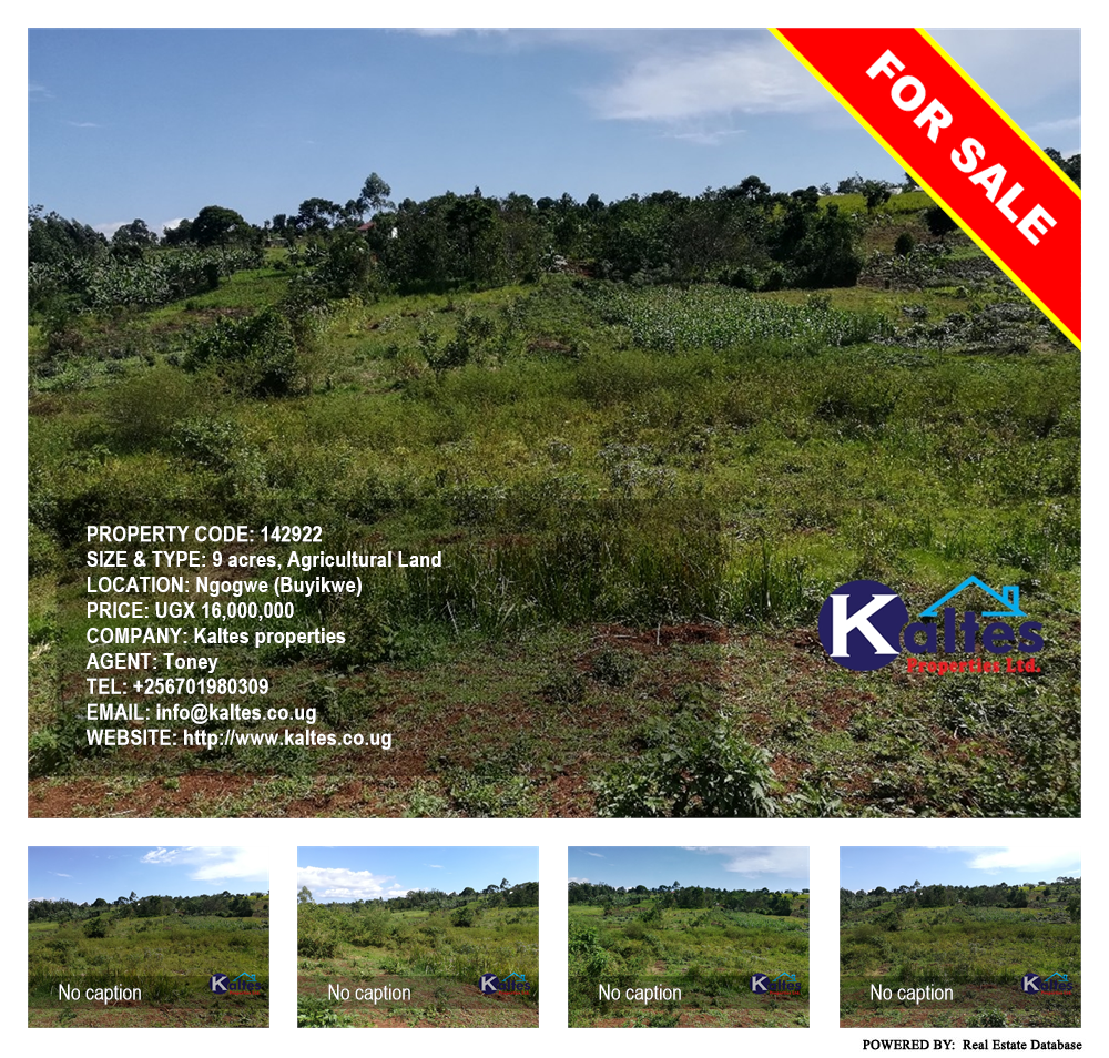 Agricultural Land  for sale in Ngogwe Buyikwe Uganda, code: 142922