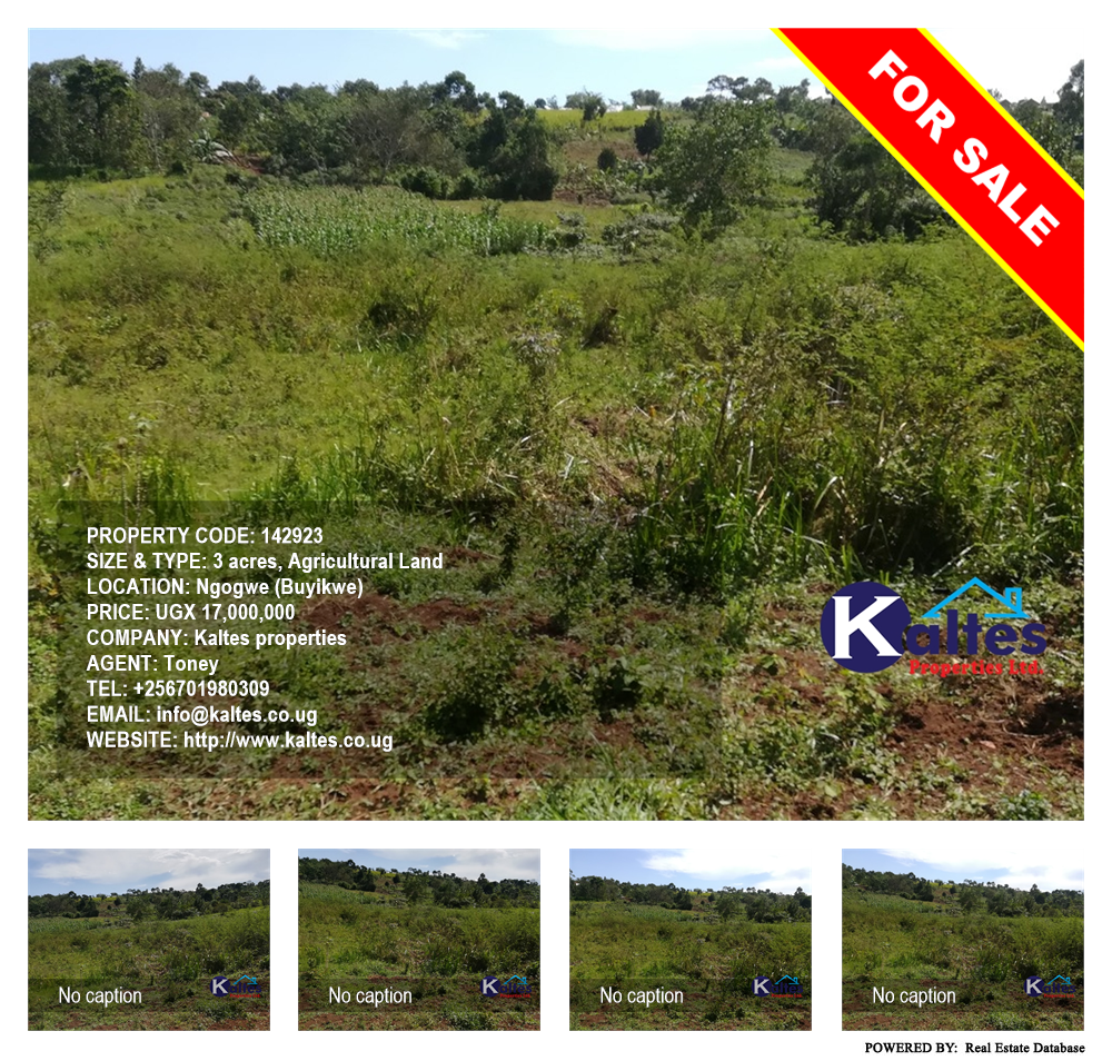 Agricultural Land  for sale in Ngogwe Buyikwe Uganda, code: 142923