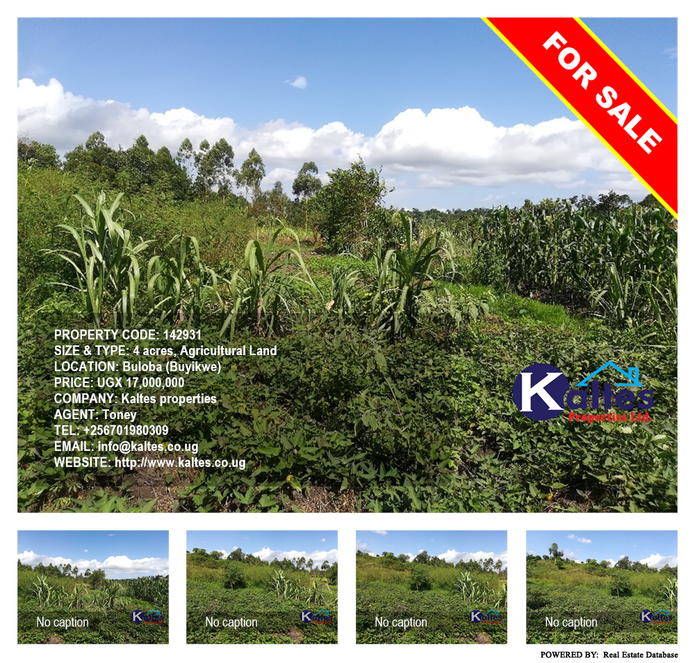 Agricultural Land  for sale in Buloba Buyikwe Uganda, code: 142931