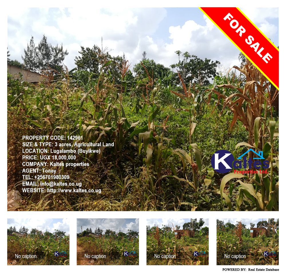 Agricultural Land  for sale in Lugalambo Buyikwe Uganda, code: 142961