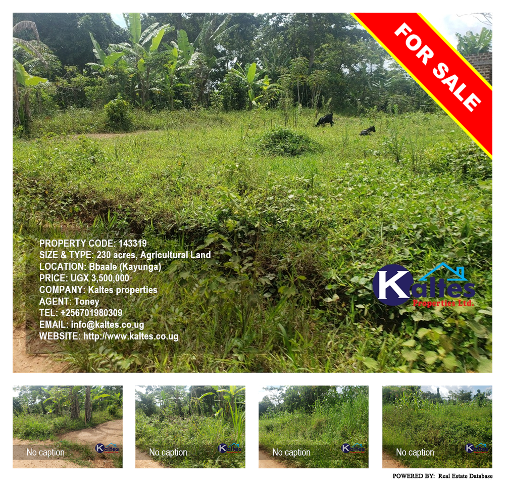 Agricultural Land  for sale in Bbaale Kayunga Uganda, code: 143319