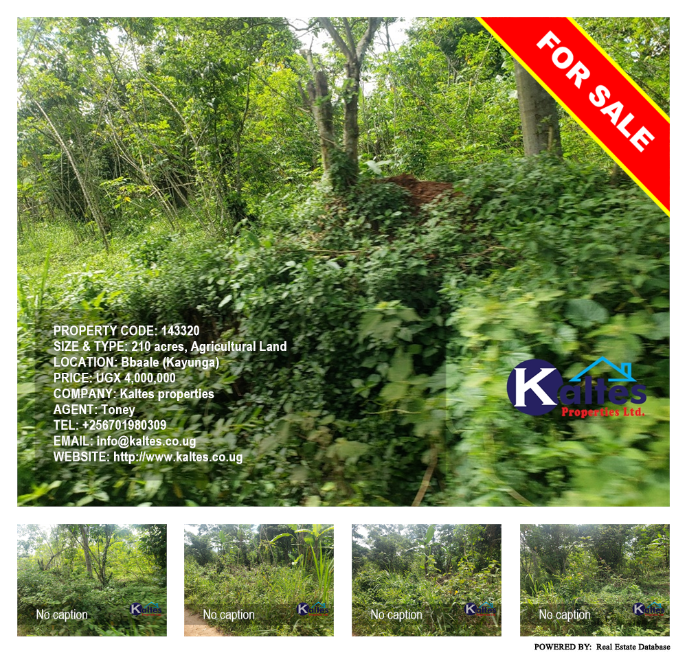 Agricultural Land  for sale in Bbaale Kayunga Uganda, code: 143320