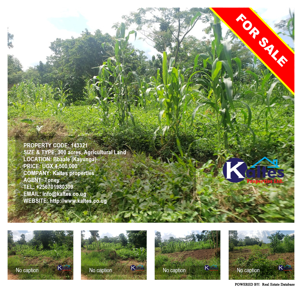Agricultural Land  for sale in Bbaale Kayunga Uganda, code: 143321