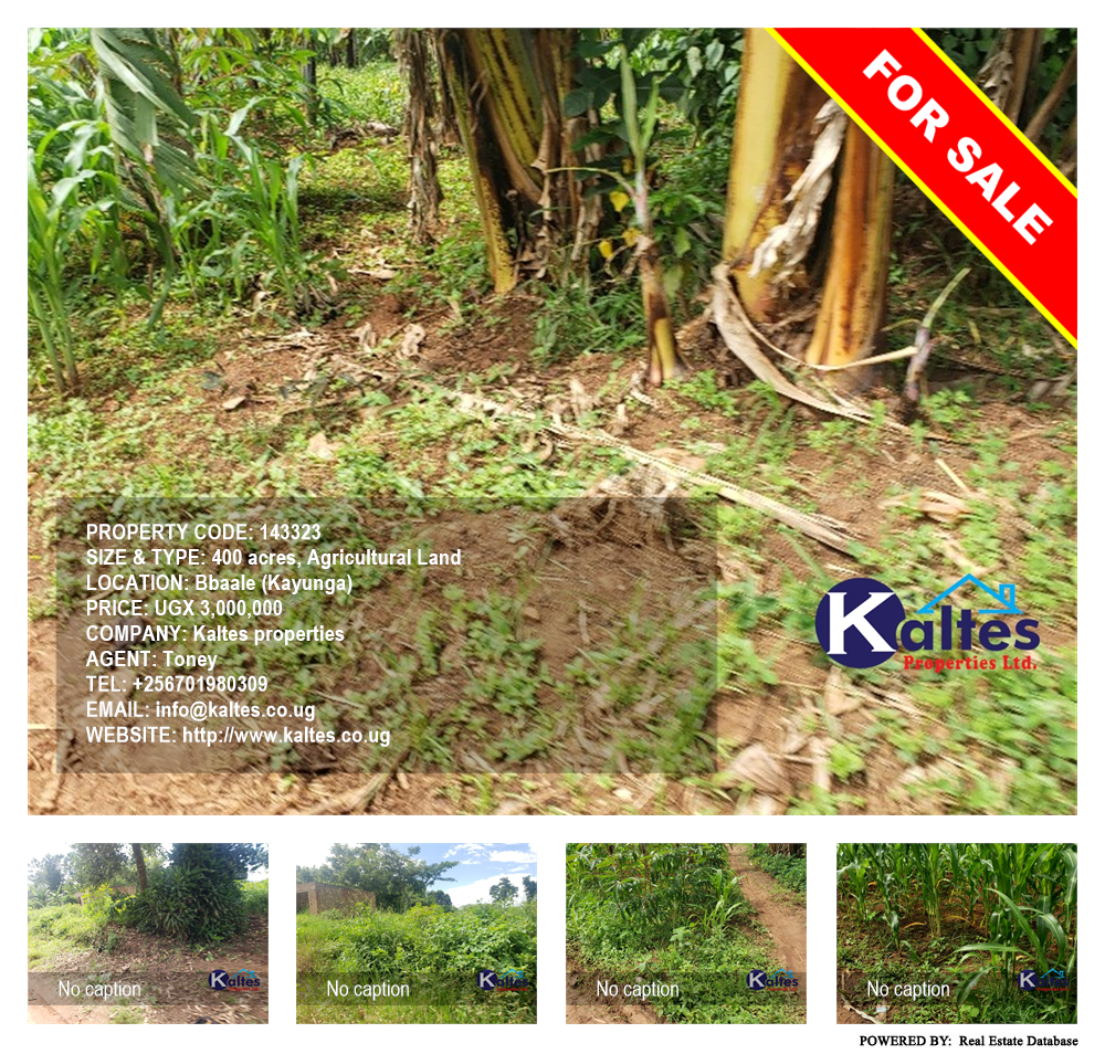 Agricultural Land  for sale in Bbaale Kayunga Uganda, code: 143323