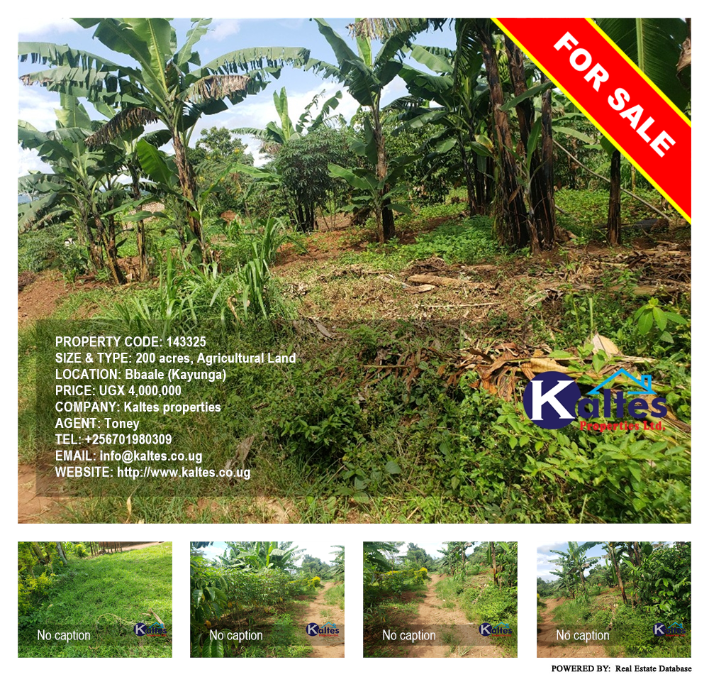 Agricultural Land  for sale in Bbaale Kayunga Uganda, code: 143325