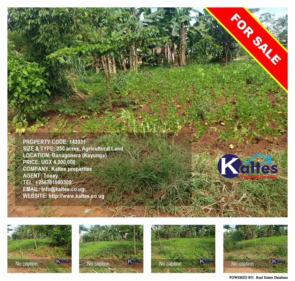 Agricultural Land  for sale in Banagonera Kayunga Uganda, code: 143331
