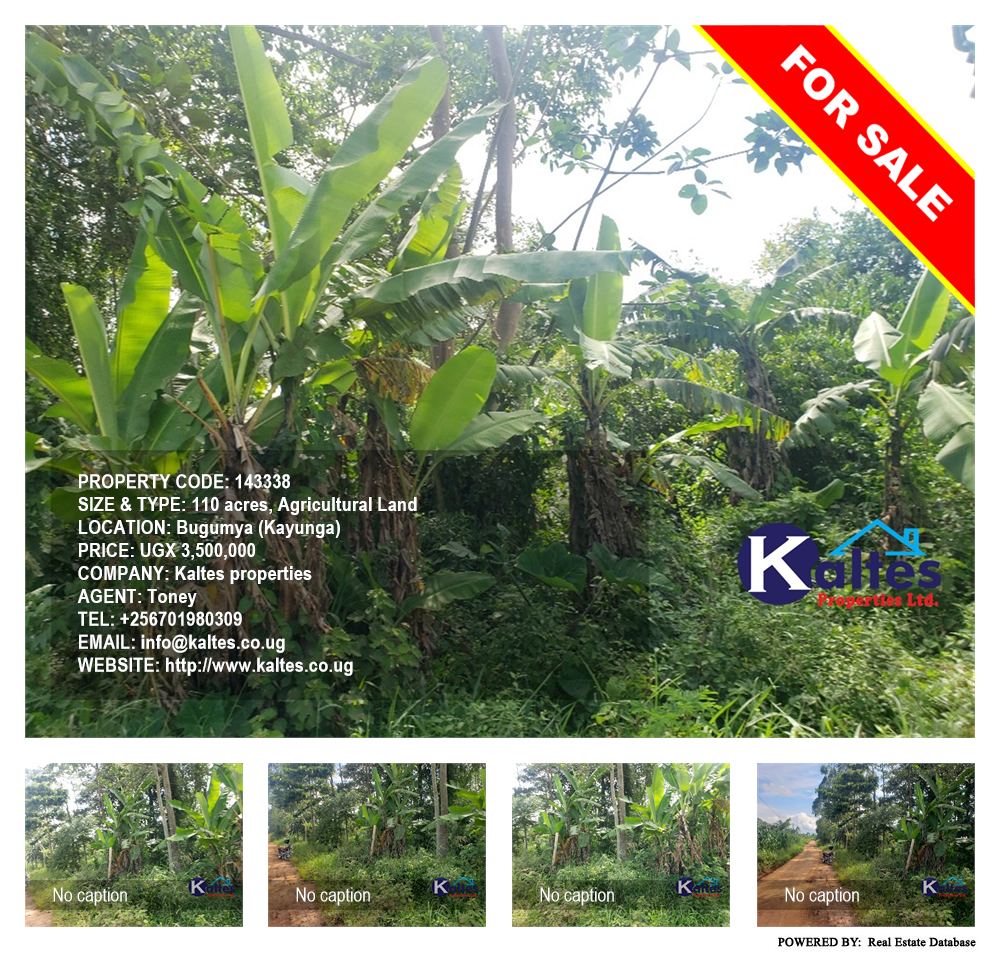 Agricultural Land  for sale in Bugumya Kayunga Uganda, code: 143338