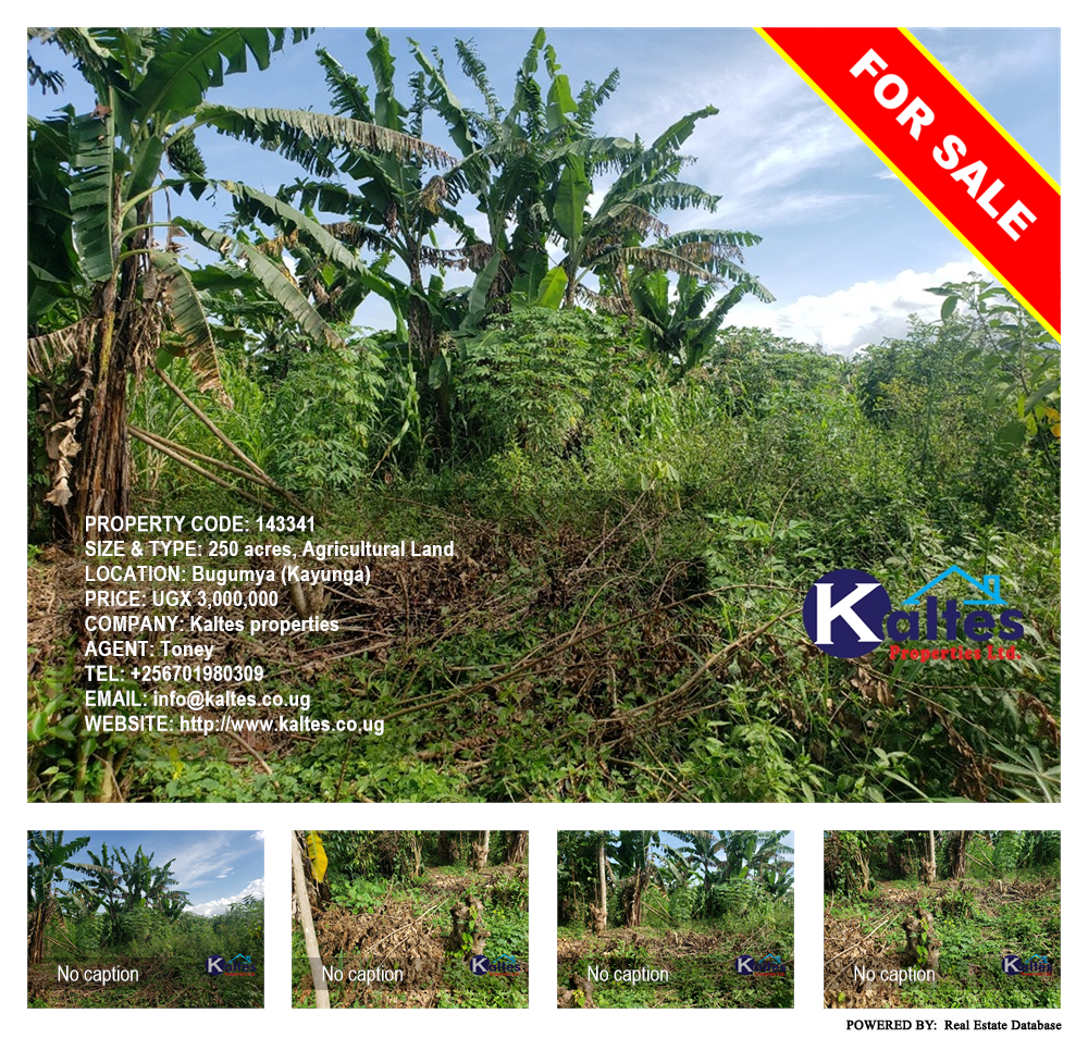 Agricultural Land  for sale in Bugumya Kayunga Uganda, code: 143341