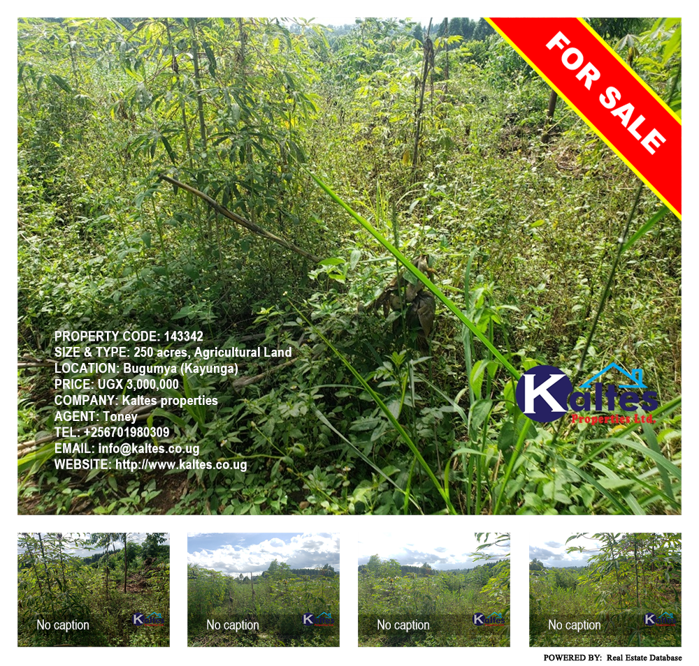 Agricultural Land  for sale in Bugumya Kayunga Uganda, code: 143342