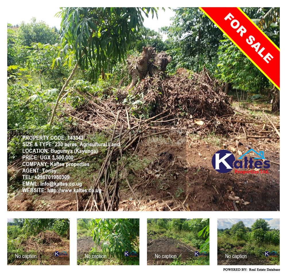 Agricultural Land  for sale in Bugumya Kayunga Uganda, code: 143343