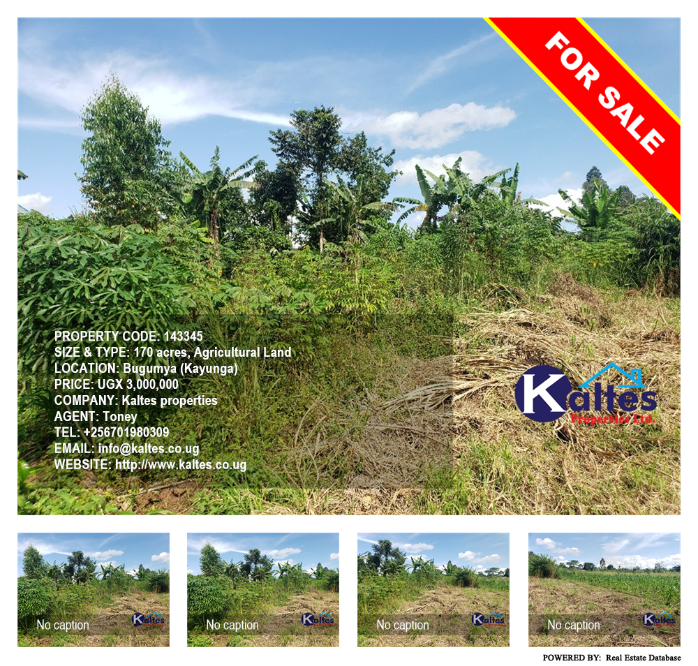 Agricultural Land  for sale in Bugumya Kayunga Uganda, code: 143345