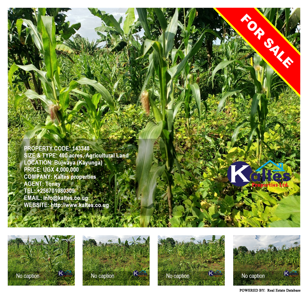 Agricultural Land  for sale in Bujwaya Kayunga Uganda, code: 143348