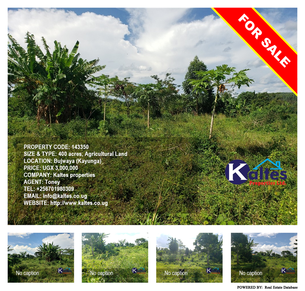 Agricultural Land  for sale in Bujwaya Kayunga Uganda, code: 143350
