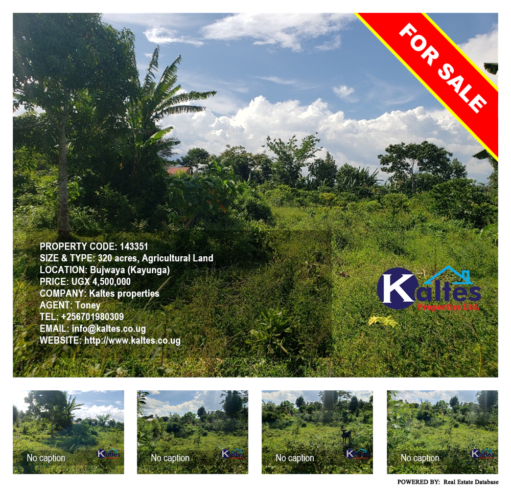 Agricultural Land  for sale in Bujwaya Kayunga Uganda, code: 143351