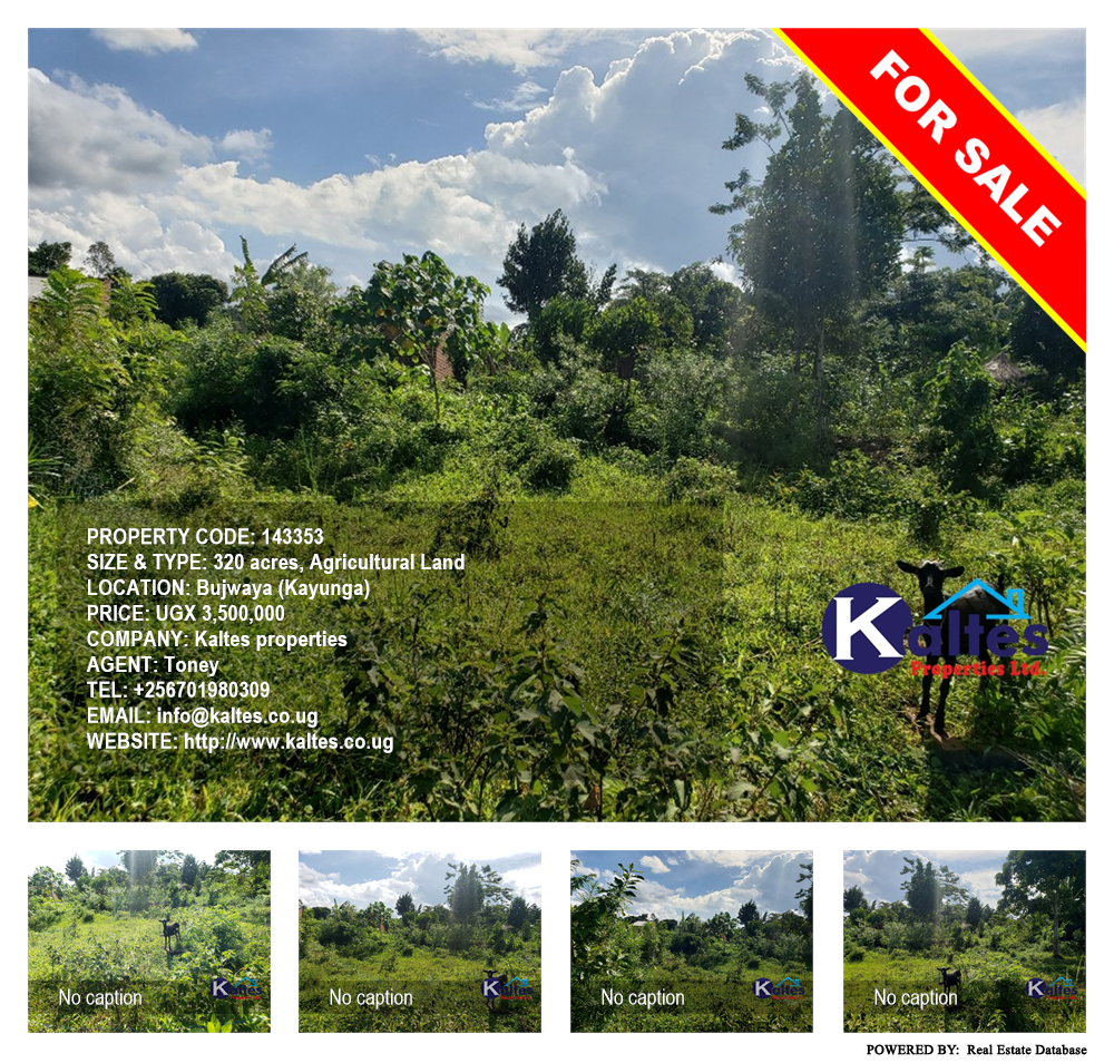 Agricultural Land  for sale in Bujwaya Kayunga Uganda, code: 143353